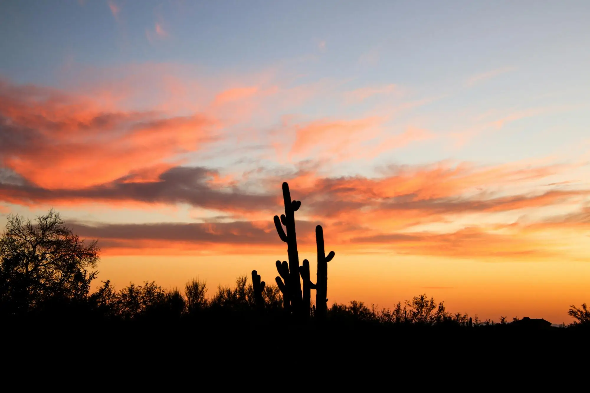 Tips to Attract Tenants in a Tough Phoenix, AZ Market